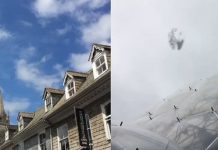Viral, Ini dia Penampakan UFO yang Bikin Heboh