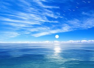 Inilah yang menyebabkan air laut asin