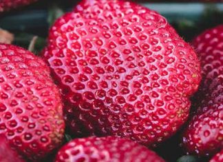 Apa itu gejala tryopophobia?